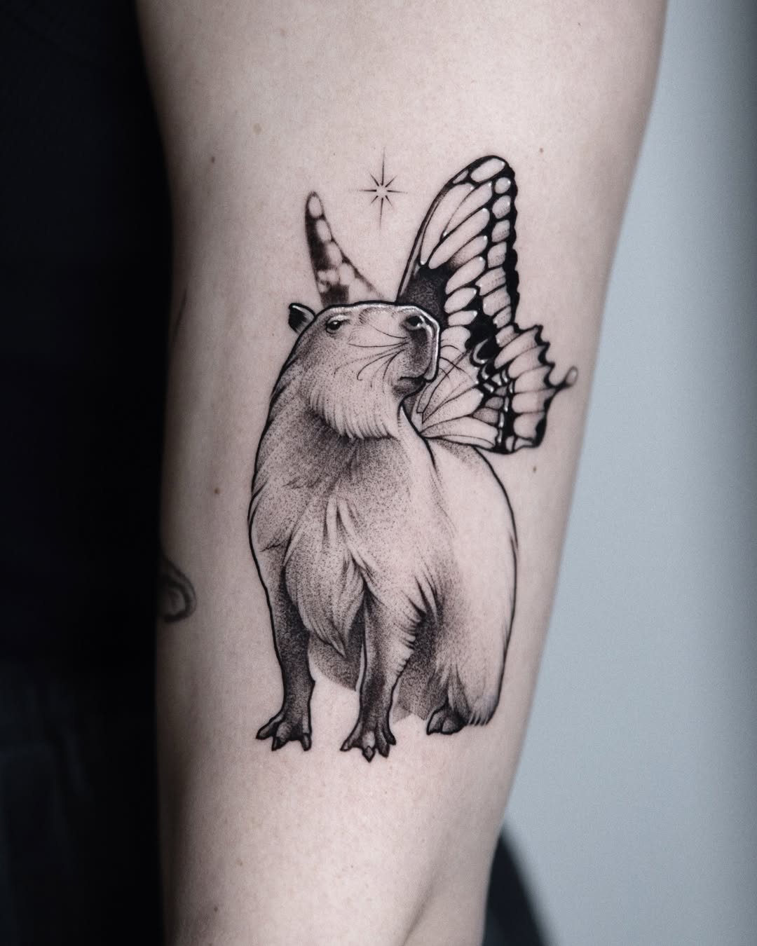 Capybara with whimsical butterfly wings tattoo
